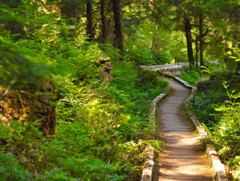 Hotel Sol Duc Hot Springs Port Angeles Exterior foto